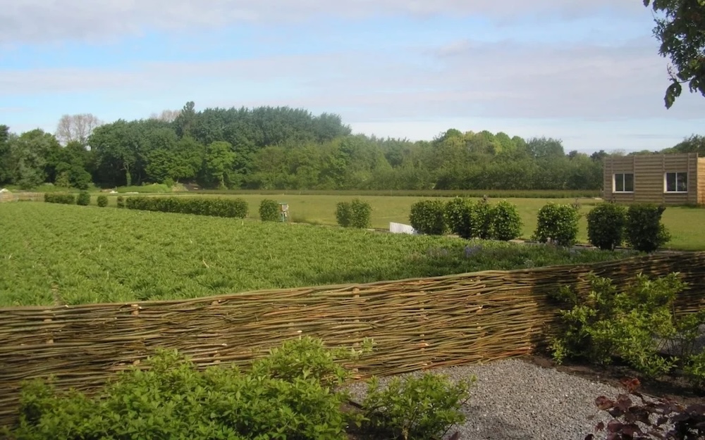 FotoEen natuurlijke schutting die opgaat in je tuin